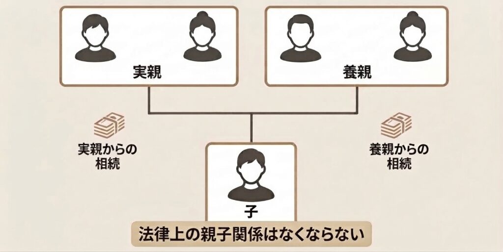 家系図_普通養子縁組では実親・養親の双方から相続できる.jpeg
